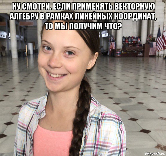 ну смотри. если применять векторную алгебру в рамках линейных координат, то мы получим что? , Мем Greta