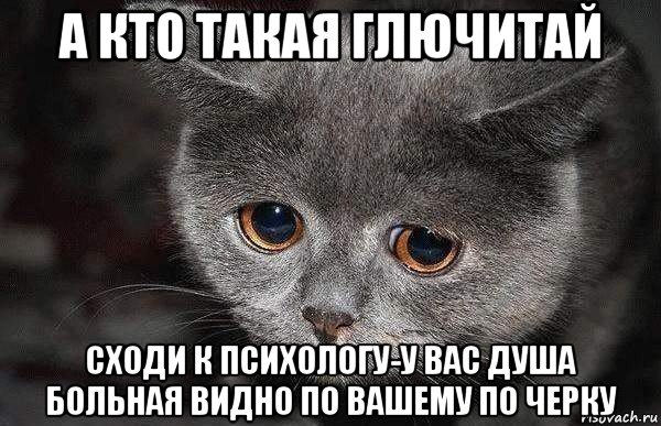 а кто такая глючитай сходи к психологу-у вас душа больная видно по вашему по черку, Мем  Грустный кот