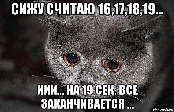 сижу считаю 16,17,18,19... иии... на 19 сек. все заканчивается ..., Мем  Грустный кот