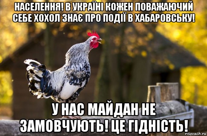 населення! в україні кожен поважаючий себе хохол знає про події в хабаровську! у нас майдан не замовчують! це гідність!, Мем Хабаровский петух Жора