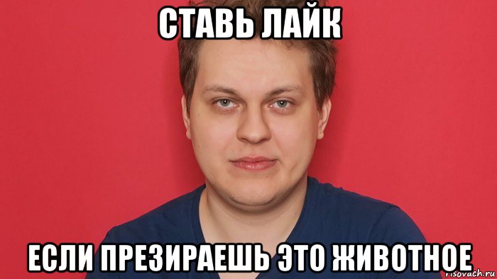 ставь лайк если презираешь это животное, Мем Хованский
