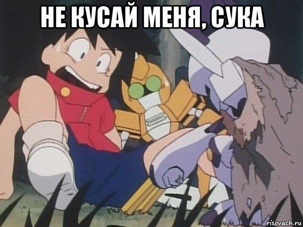 не кусай меня, сука 