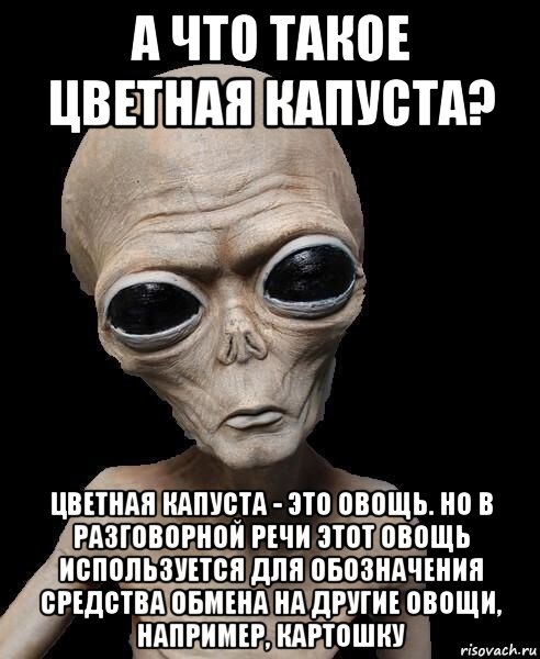 а что такое цветная капуста? цветная капуста - это овощь. но в разговорной речи этот овощь используется для обозначения средства обмена на другие овощи, например, картошку, Мем Инопланетянин