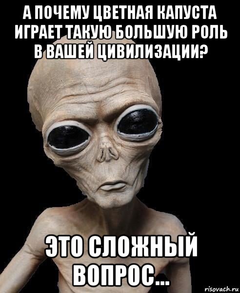 а почему цветная капуста играет такую большую роль в вашей цивилизации? это сложный вопрос..., Мем Инопланетянин