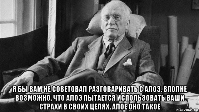  я бы вам не советовал разговаривать с алоэ. вполне возможно, что алоэ пытается использовать ваши страхи в своих целях. алое оно такое, Мем Карл Юнг