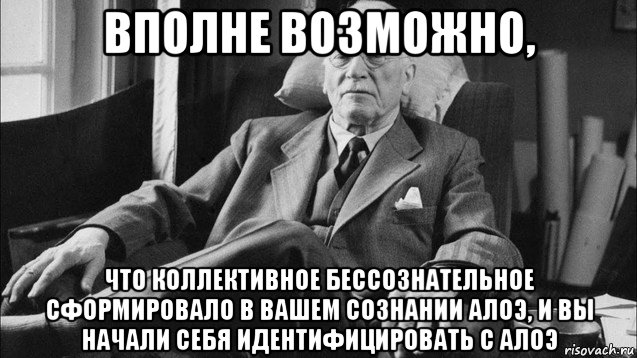 вполне возможно, что коллективное бессознательное сформировало в вашем сознании алоэ, и вы начали себя идентифицировать с алоэ, Мем Карл Юнг