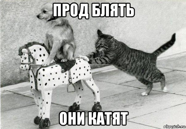 прод блять они катят