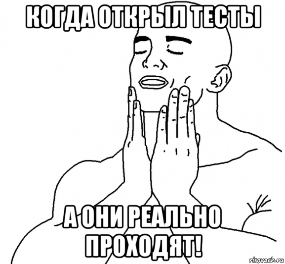 когда открыл тесты а они реально проходят!
