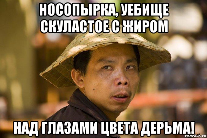 носопырка, уебище скуластое с жиром над глазами цвета дерьма!