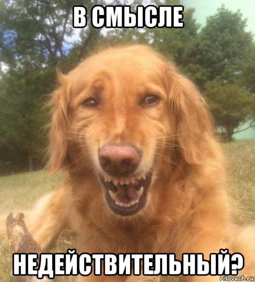 в смысле недействительный?