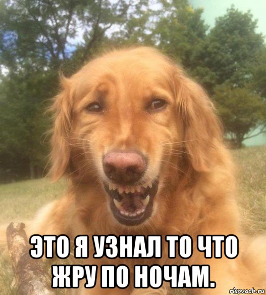  это я узнал то что жру по ночам.