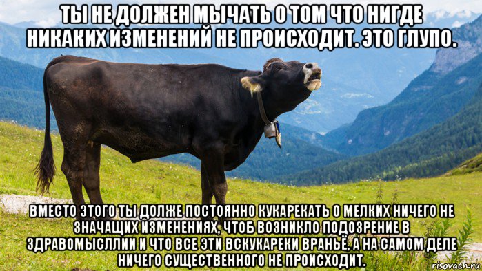 ты не должен мычать о том что нигде никаких изменений не происходит. это глупо. вместо этого ты долже постоянно кукарекать о мелких ничего не значащих изменениях, чтоб возникло подозрение в здравомысллии и что все эти вскукареки враньё, а на самом деле ничего существенного не происходит., Мем Корова Vacca