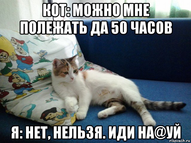 кот: можно мне полежать да 50 часов я: нет, нельзя. иди на@уй, Мем кошка