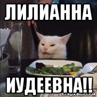 лилианна иудеевна!!, Мем Кот