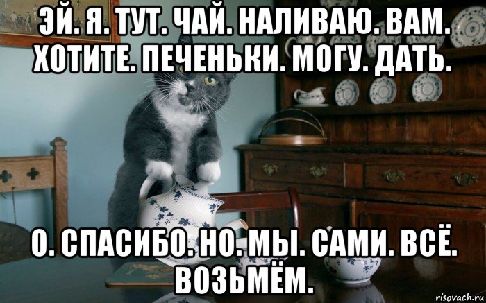 эй. я. тут. чай. наливаю. вам. хотите. печеньки. могу. дать. о. спасибо. но. мы. сами. всё. возьмём., Мем Котэ