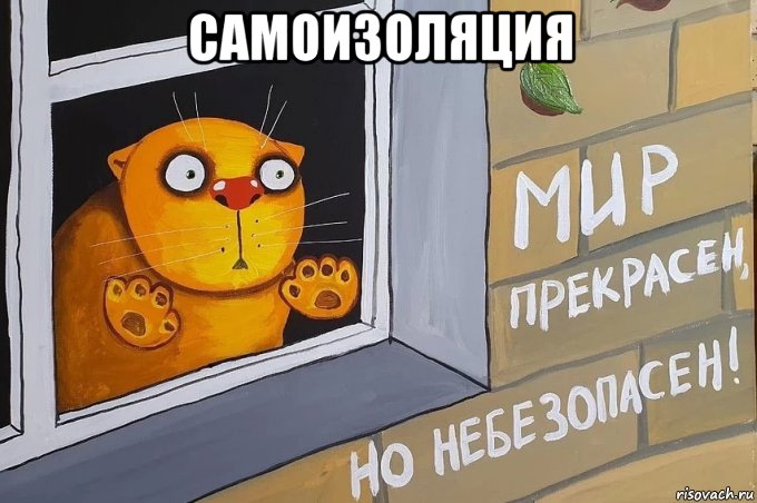 самоизоляция , Мем Коте