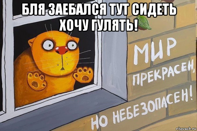 бля заебался тут сидеть хочу гулять! , Мем Коте