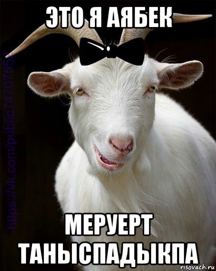 это я аябек меруерт таныспадыкпа