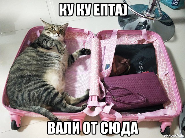 ку ку епта) вали от сюда