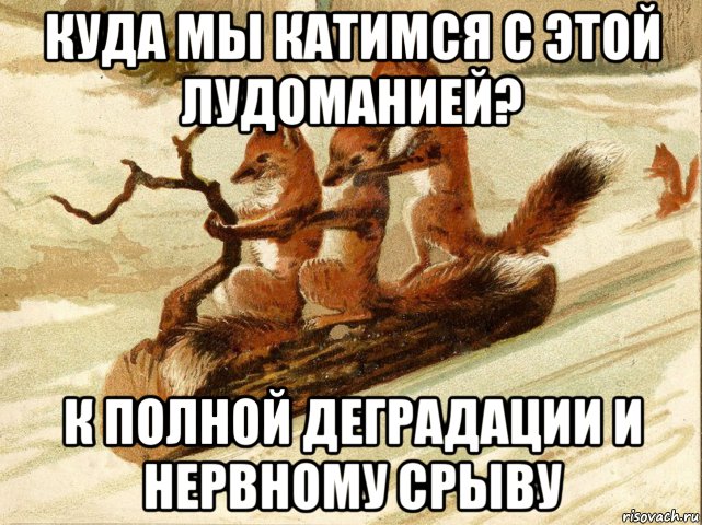 куда мы катимся с этой лудоманией? к полной деградации и нервному срыву, Мем Куда мы катимся