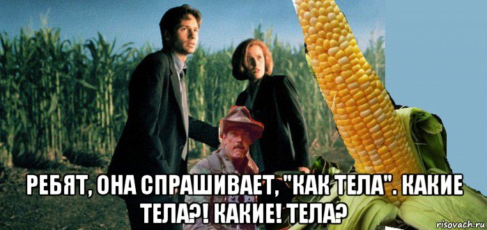  ребят, она спрашивает, "как тела". какие тела?! какие! тела?