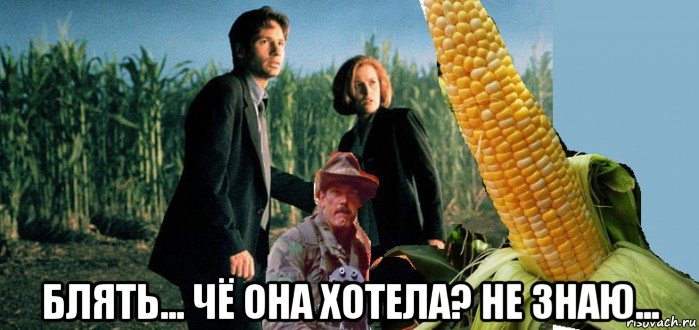  блять... чё она хотела? не знаю...