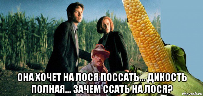  она хочет на лося поссать... дикость полная... зачем ссать на лося?