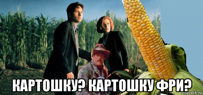  картошку? картошку фри?