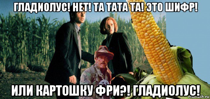 гладиолус! нет! та тата та! это шифр! или картошку фри?! гладиолус!