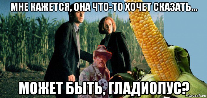 мне кажется, она что-то хочет сказать... может быть, гладиолус?