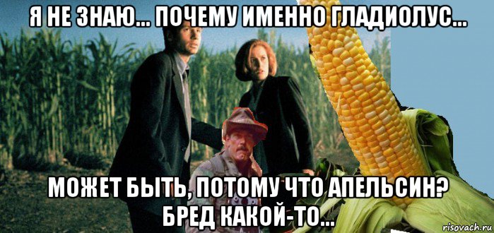 я не знаю... почему именно гладиолус... может быть, потому что апельсин? бред какой-то...