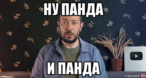 ну панда и панда