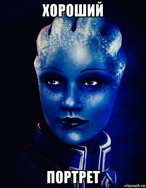 хороший портрет, Мем Liara
