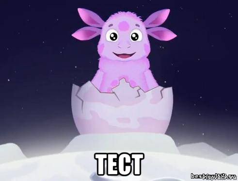  тест