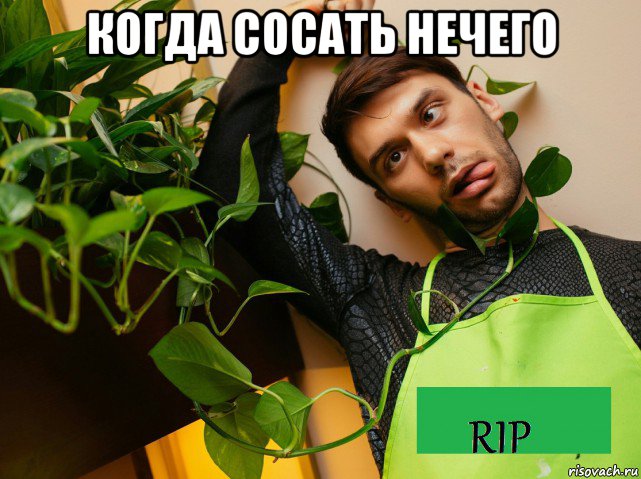 когда сосать нечего , Мем MAAXIM Коралхуёв
