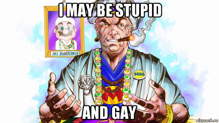 i may be stupid and gay, Мем Марио востоковед