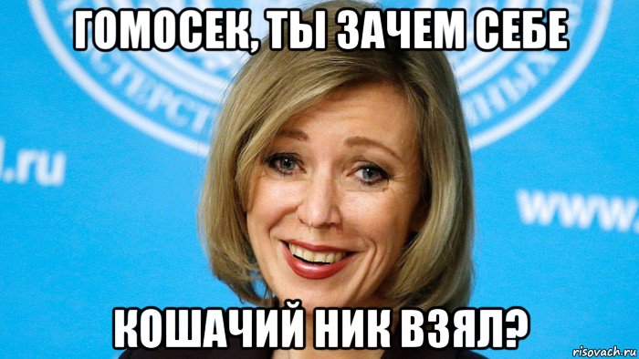 гомосек, ты зачем себе кошачий ник взял?, Мем Мария захарова