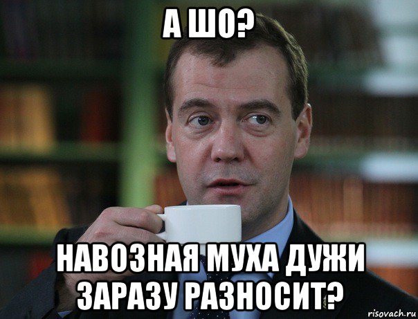 а шо? навозная муха дужи заразу разносит?, Мем Медведев спок бро