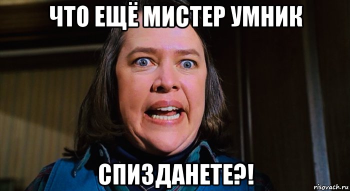 что ещё мистер умник спизданете?!, Мем Мизери