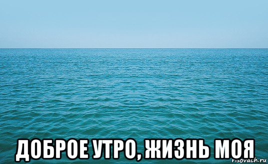  доброе утро, жизнь моя, Мем Море