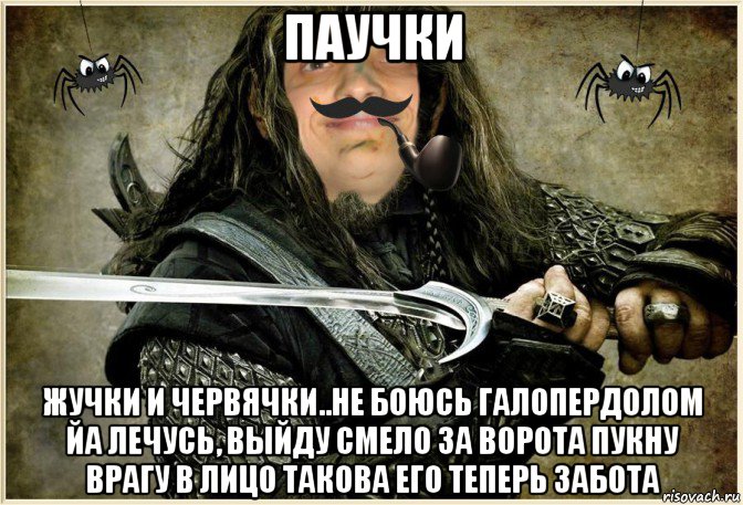 паучки жучки и червячки..не боюсь галопердолом йа лечусь, выйду смело за ворота пукну врагу в лицо такова его теперь забота, Мем MrEbanko - Рыцарь Круглого Дурачка