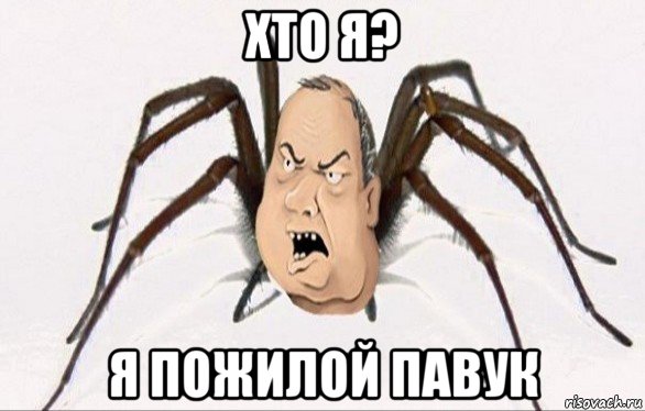 хто я? я пожилой павук, Мем Мужик блеать