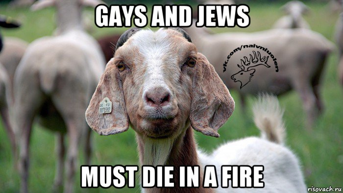 gays and jews must die in a fire, Мем  Наивная овца