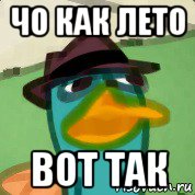 чо как лето вот так, Мем Непонятливый