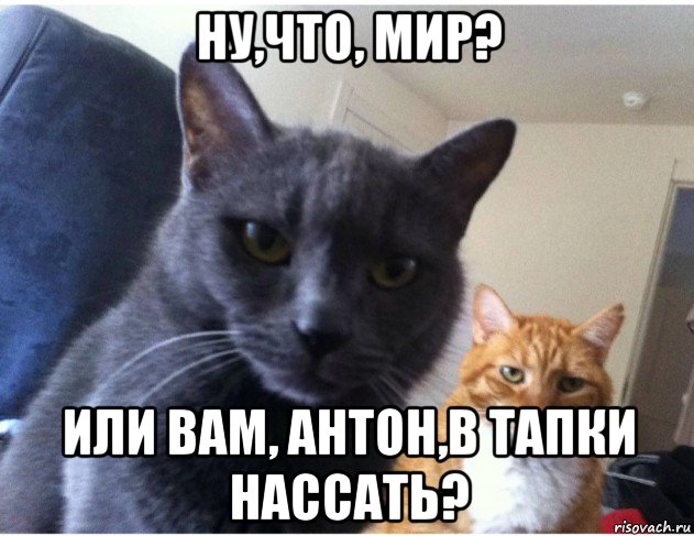 ну,что, мир? или вам, антон,в тапки нассать?