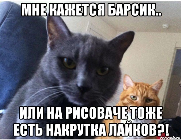 мне кажется барсик.. или на рисоваче тоже есть накрутка лайков?!, Мем Ну что мир