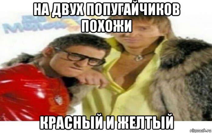 на двух попугайчиков похожи красный и желтый, Мем О май гадебл