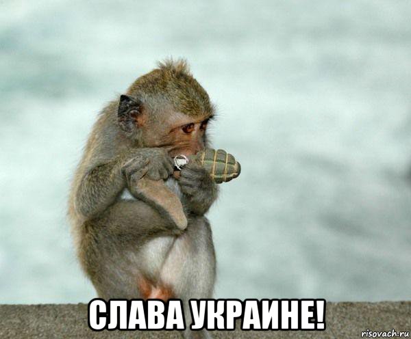  слава украине!