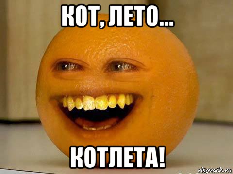 кот, лето... котлета!, Мем Orange