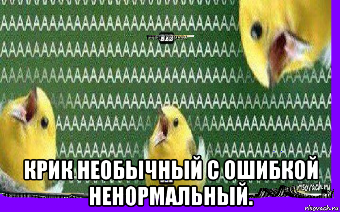  крик необычный с ошибкой ненормальный., Мем ОшибкааааааааааааааКуку203846510
